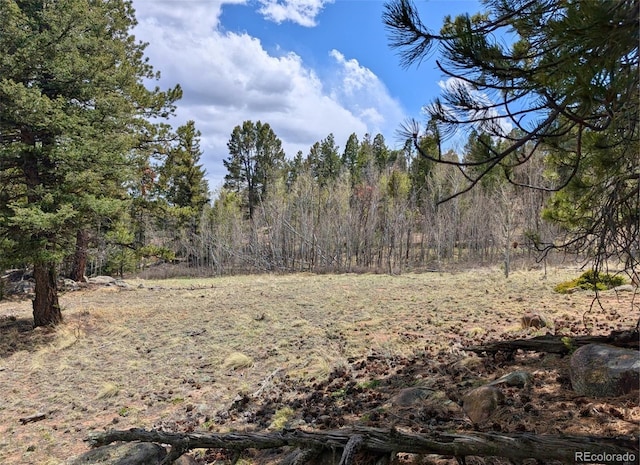 43 Spanish Bit Dr, Lake George, CO 80827 - photo 12