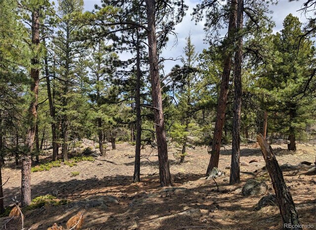 43 Spanish Bit Dr, Lake George, CO 80827 - photo 13