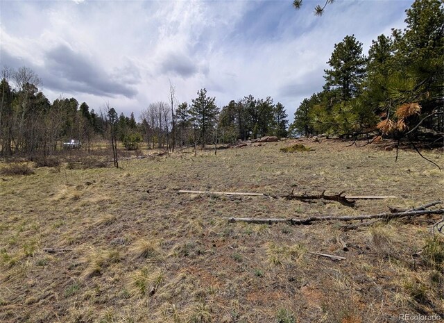 43 Spanish Bit Dr, Lake George, CO 80827 - photo 14