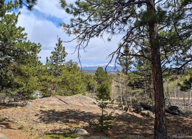 43 Spanish Bit Dr, Lake George, CO 80827 - photo 15