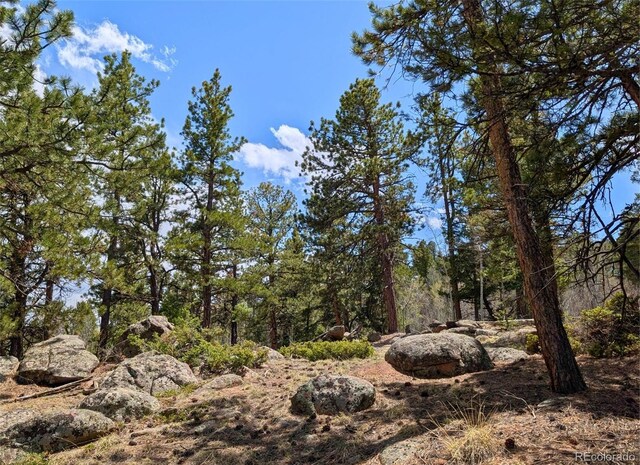 43 Spanish Bit Dr, Lake George, CO 80827 - photo 16