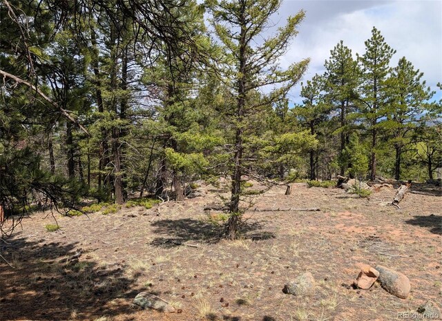 43 Spanish Bit Dr, Lake George, CO 80827 - photo 17