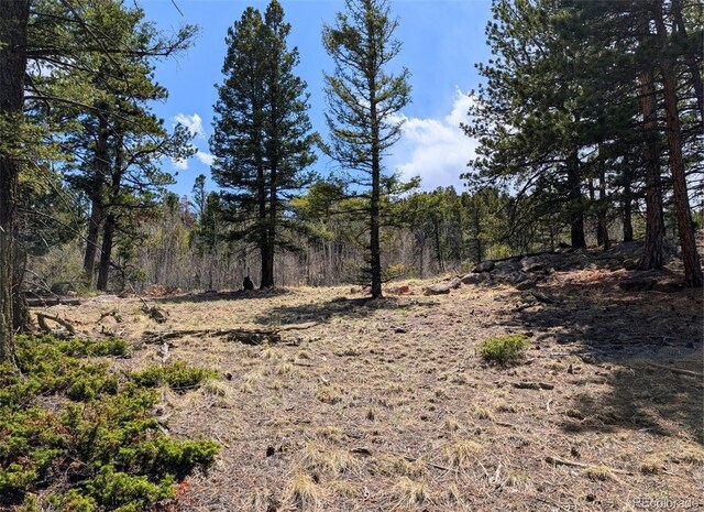43 Spanish Bit Dr, Lake George, CO 80827 - photo 18