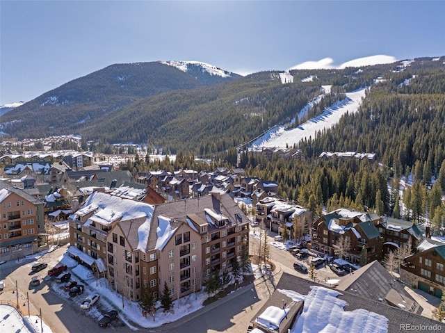 snowy aerial view with a view of trees and a mountain view