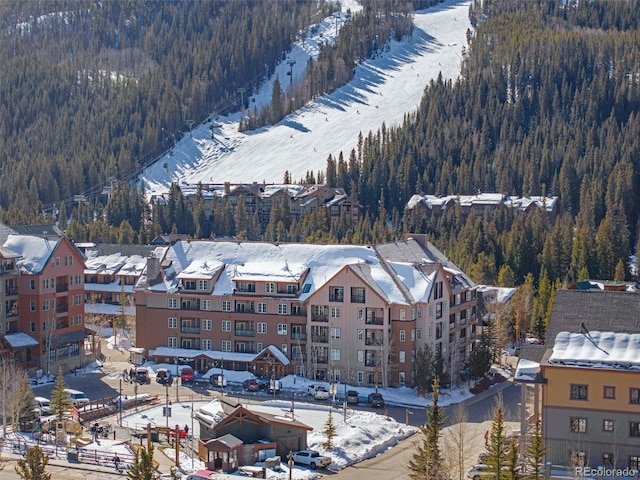 snowy aerial view featuring a wooded view