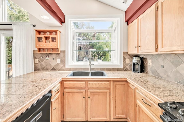 9704 Iris, Broomfield, CO 80021 - photo 9
