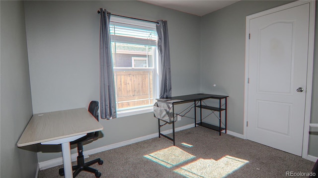 1503 Osage Ave, Fort Morgan, CO 80701 - office space featuring carpet floors, healthy amount of natural light, and baseboards