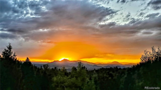 2169 Spruce Rd, Woodland Park, CO 80863 - view of mountain background featuring a heavily wooded area