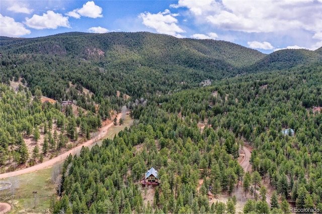 2169 Spruce Rd, Woodland Park, CO 80863 - view of mountain background with a heavily wooded area
