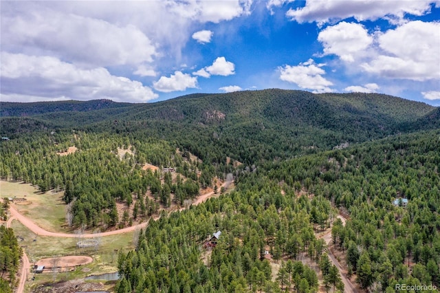 2169 Spruce Rd, Woodland Park, CO 80863 - view of mountain background with a heavily wooded area