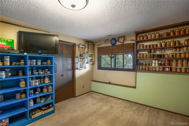 2169 Spruce Rd, Woodland Park, CO 80863 - view of storage area