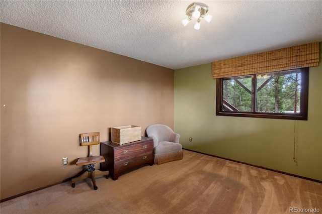 2169 Spruce Rd, Woodland Park, CO 80863 - sitting room with carpet flooring and a textured ceiling