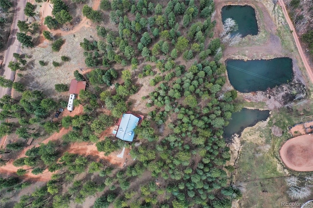 2169 Spruce Rd, Woodland Park, CO 80863 - aerial overview of property's location
