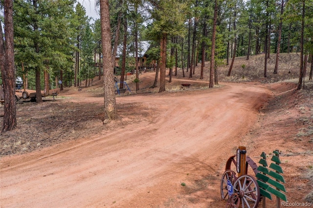 2169 Spruce Rd, Woodland Park, CO 80863 - view of dirt / gravel road