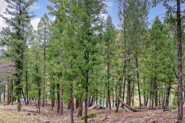 2169 Spruce Rd, Woodland Park, CO 80863 - view of woods