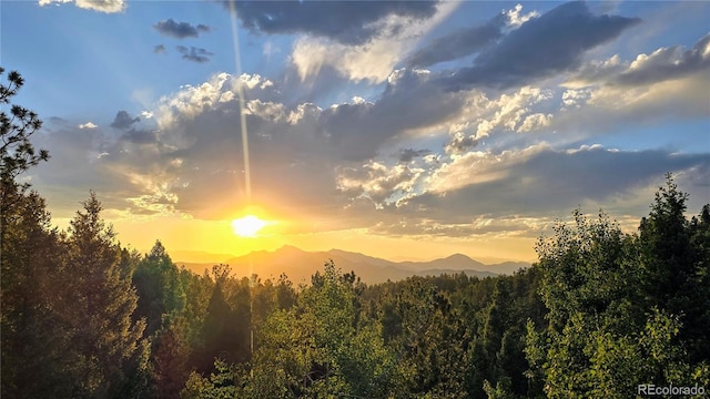 2169 Spruce Rd, Woodland Park, CO 80863 - view of mountain background with a heavily wooded area