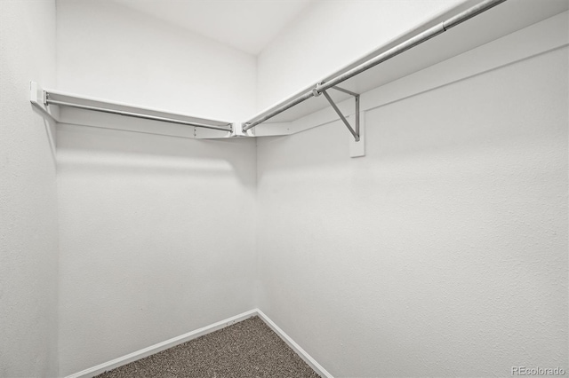 2732 Flint Ct, Superior, CO 80027 - spacious closet featuring carpet floors
