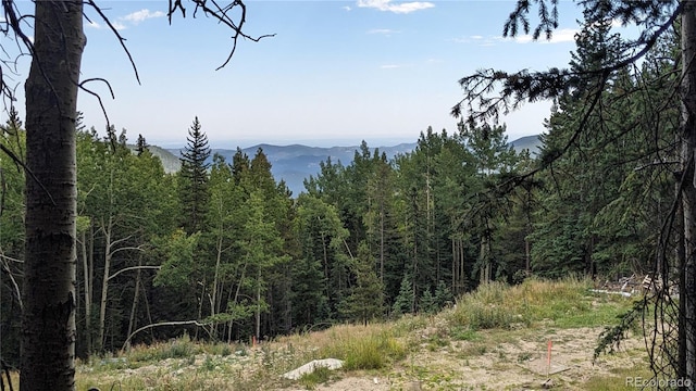 429 Sawmill Ln, Idaho Springs CO, 80452 land for sale