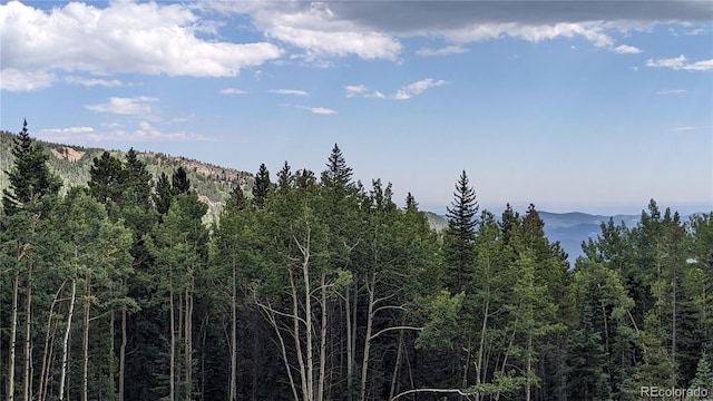 Listing photo 3 for 429 Sawmill Ln, Idaho Springs CO 80452