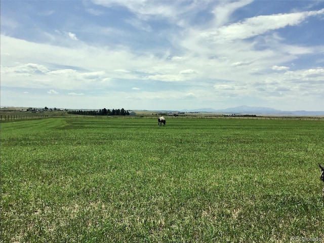 view of nature with a rural view