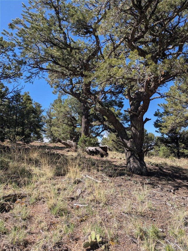 1814 Lobo Pt, Crestone, CO 81131 - photo 11