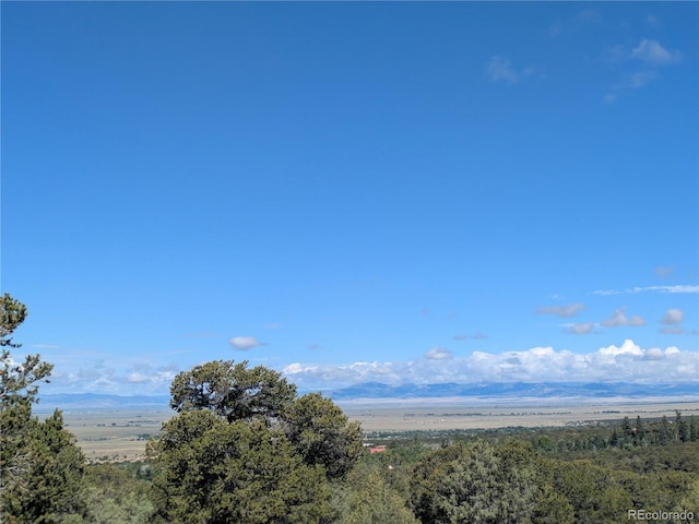 1814 Lobo Pt, Crestone, CO 81131 - photo 12