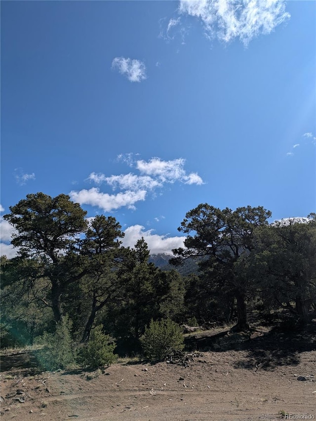 1814 Lobo Pt, Crestone, CO 81131 - photo 13