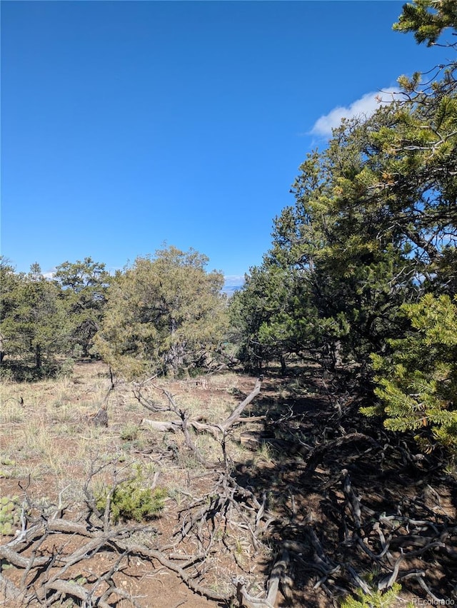 1814 Lobo Pt, Crestone, CO 81131 - photo 4
