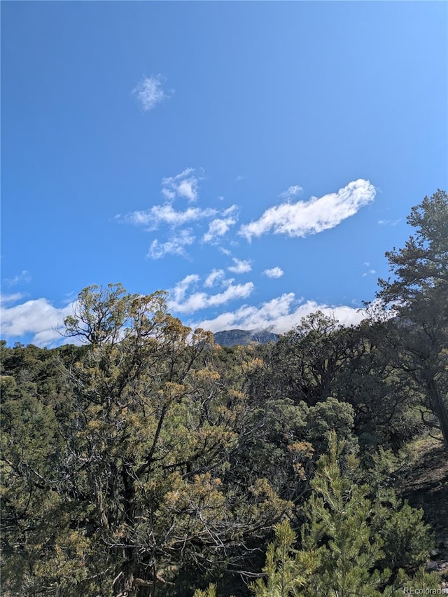 1814 Lobo Pt, Crestone, CO 81131 - photo 6