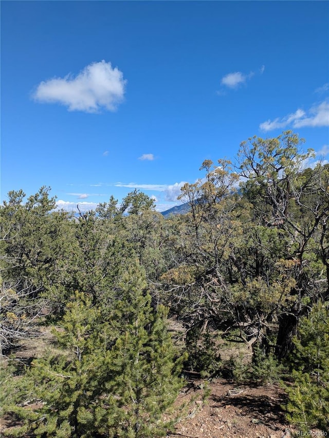 1814 Lobo Pt, Crestone, CO 81131 - photo 7