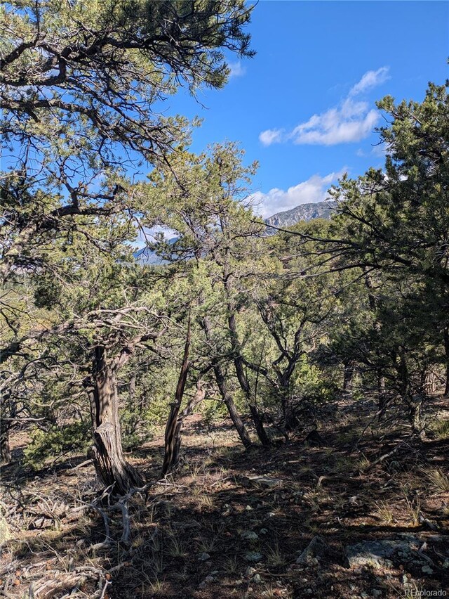 1814 Lobo Pt, Crestone, CO 81131 - photo 8