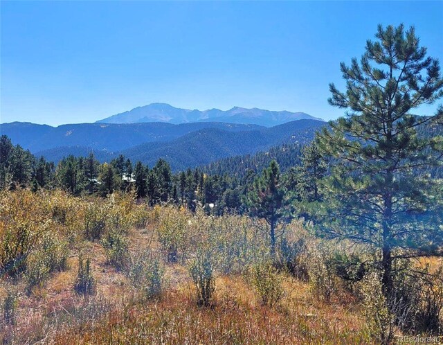 520 Sunny Glen Ct, Woodland Park, CO 80863