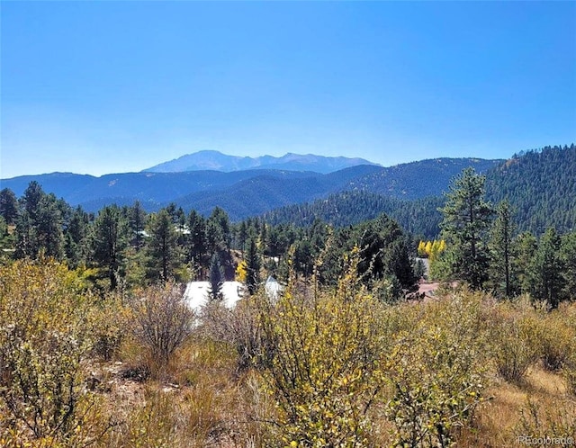 Listing photo 2 for 520 Sunny Glen Ct, Woodland Park CO 80863