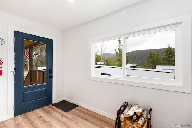 192 Little Creek Rd, Idaho Springs, CO 80452 - entryway featuring light wood-style flooring, a mountain view, and baseboards