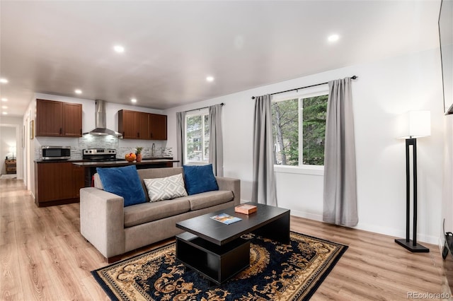 192 Little Creek Rd, Idaho Springs, CO 80452 - living area with light wood-type flooring, recessed lighting, and baseboards