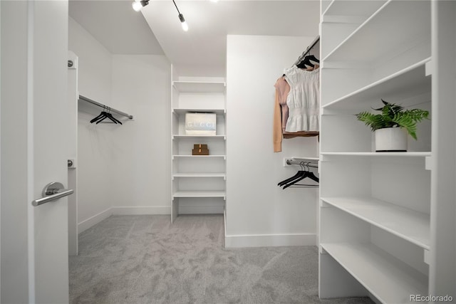 spacious closet featuring carpet flooring