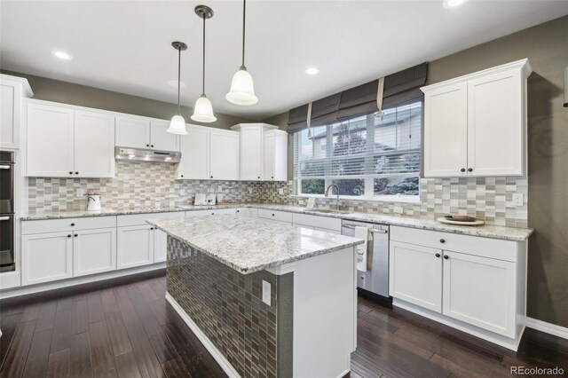 kitchen with white cabinets, dark hardwood / wood-style floors, stainless steel dishwasher, and tasteful backsplash