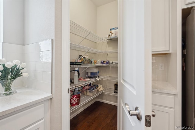 view of pantry