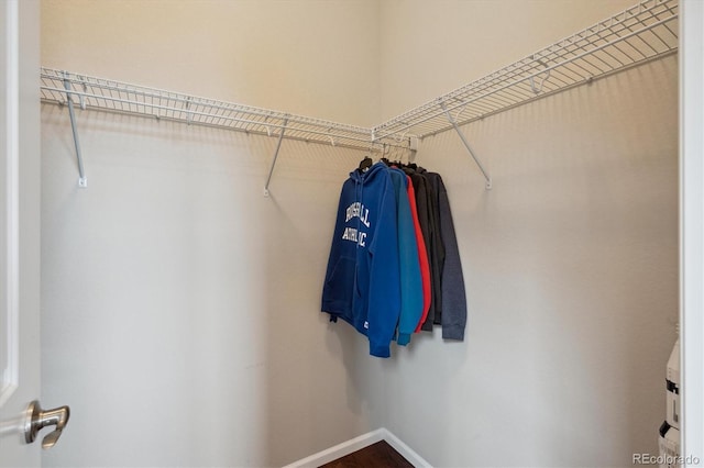 view of spacious closet