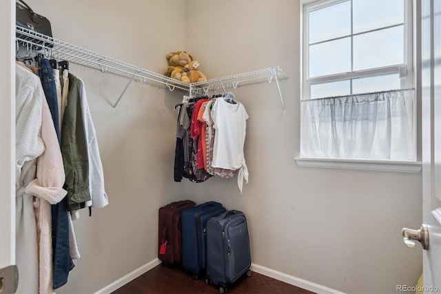 walk in closet featuring dark wood-type flooring
