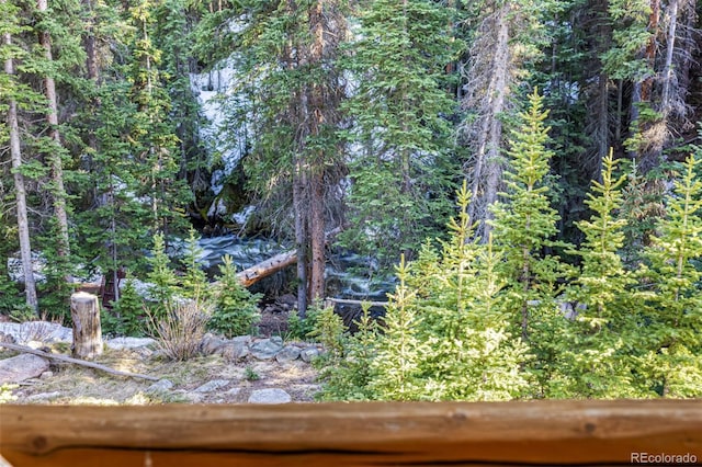 50 Pine St, Empire, CO 80438 - view of yard with a wooded view