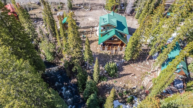 50 Pine St, Empire, CO 80438 - view of subject property
