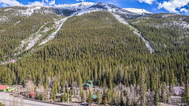 50 Pine St, Empire, CO 80438 - aerial view of a mountain backdrop and a forest