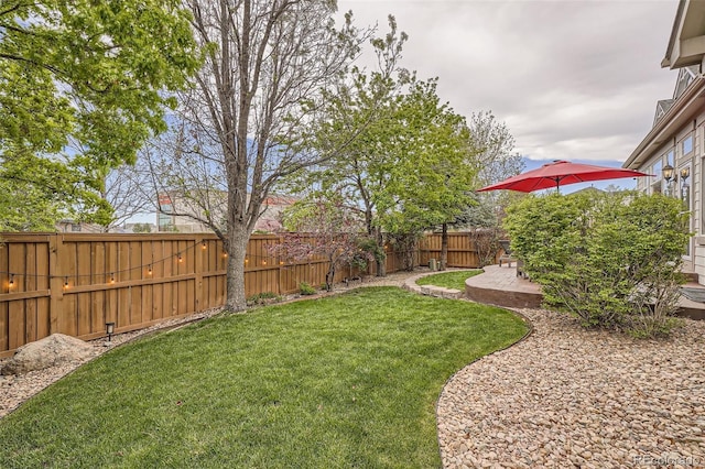 view of yard featuring a patio area