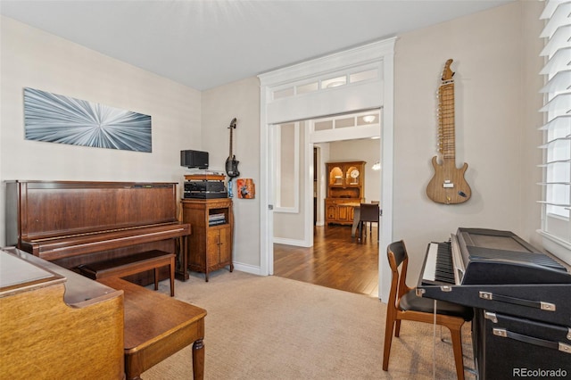 office with carpet, baseboards, and wood finished floors