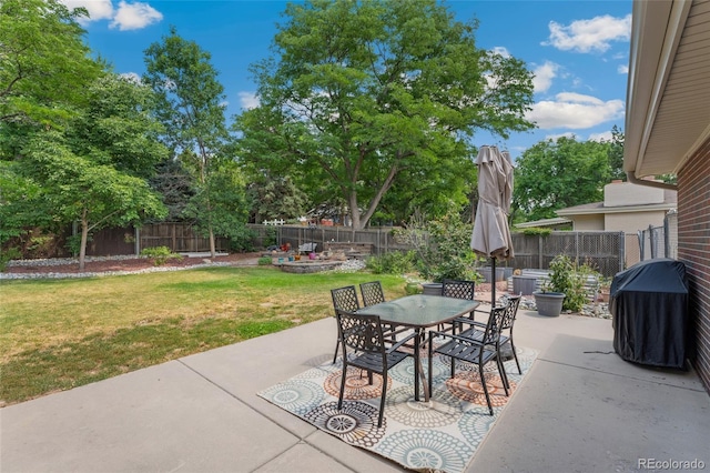6906 S Sycamore St, Littleton, CO 80120 - fenced backyard featuring a patio area, outdoor dining area, and a grill