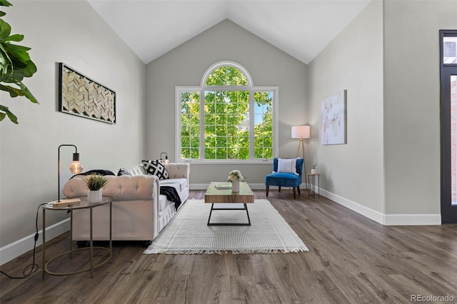 7119 S Riviera St, Aurora, CO 80016 - living area featuring wood finished floors and lofted ceiling