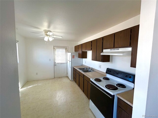 kitchen with dark brown cabinetry, white range with electric stovetop, light floors, under cabinet range hood, and a sink