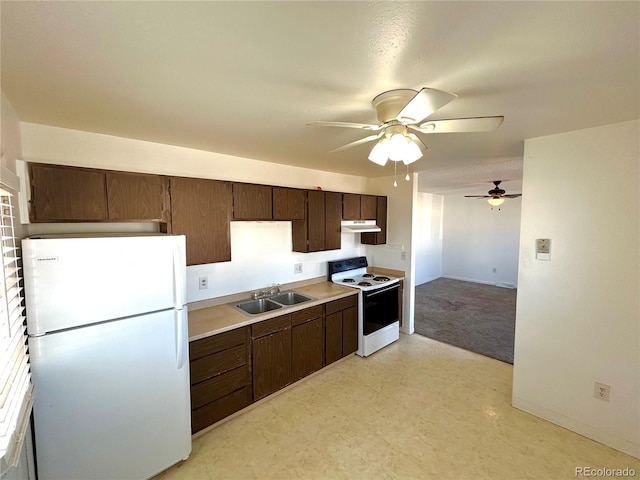 kitchen featuring dark brown cabinetry, electric range oven, freestanding refrigerator, under cabinet range hood, and a sink