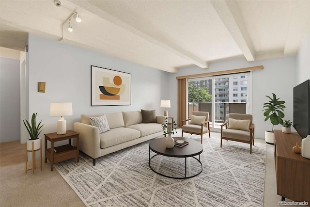 1265 N Race St Unit 603, Denver, CO 80206 - photo 4